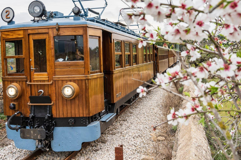 Mallorca: Sóller and Port of Sóller Train and Tram Tour Mallorca: Sóller & Port Sóller Train and Tram - Morning Tour