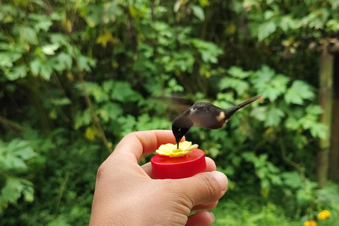 Excursion d&#039;une journée complète à Mindo, tout compris, avec transport depuis Quito.Excursion d&#039;une journée complète à Mindo, tout compris, avec transport depuis Quito