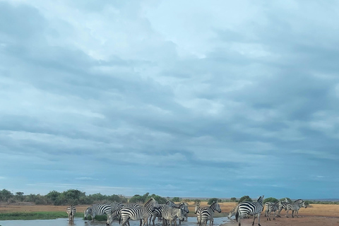 3-day Amboseli & SaltLick Safar: Kilimanjaro View & Treetop
