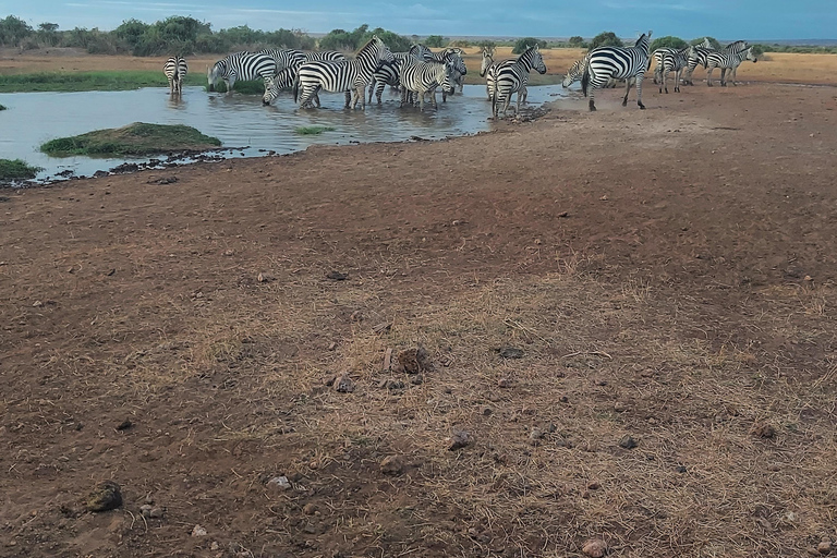 3-day Amboseli & SaltLick Safar: Kilimanjaro View & Treetop