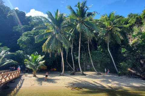 Puerto Plata: Samana, Bacardi Island, and Los Haitises Tour