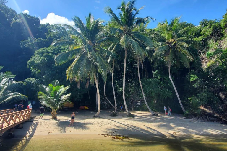 Puerto Plata: Samana, Bacardi Island, and Los Haitises Tour