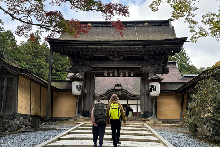 Z Osaki: prywatna wycieczka 1-dniowa z przewodnikiem do Koyasan (miejsce wpisane na listę UNESCO)