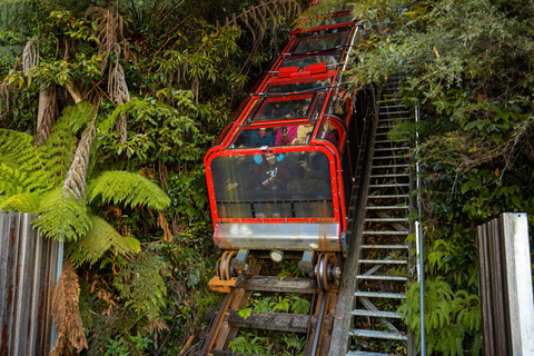 Private Blue Mountains, Scenic World & Wentworth Falls Tour Fully Private & Premium Experience
