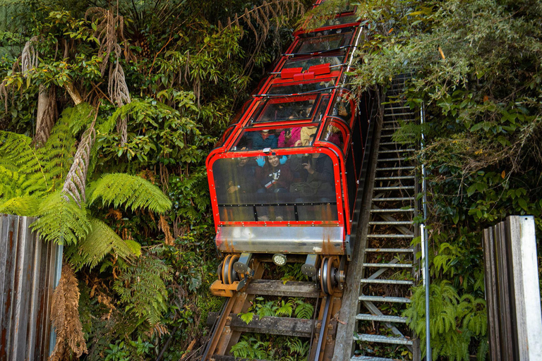 Private Blue Mountains, Scenic World & Wentworth Falls Tour Fully Private & Premium Experience