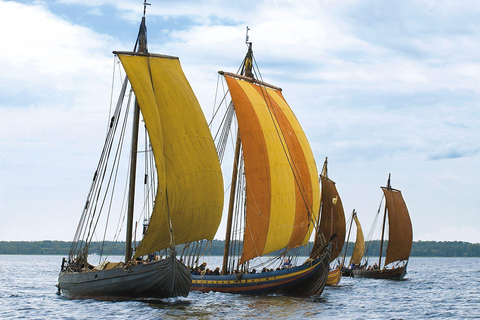 Denmark : Viking Ship Museum Entry Ticket
