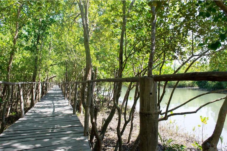 Aklan Vibrant Kalibo Tour (Half Day)