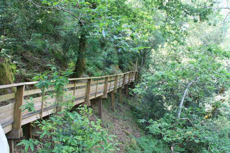 From Porto: 516 Arouca Bridge & Paiva Walkways - Guided Tour