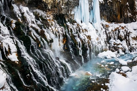 Sapporo: Asahiyama Zoo, Shirahige Waterfall & Blue Pond Day Trip - Image 2