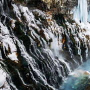 Sapporo: Asahiyama Zoo, Shirahige Waterfall & Blue Pond Day Trip