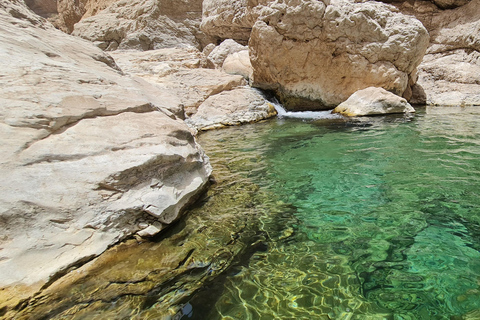 From Muscat: Wadi Al Arbieen Adventure, Sinkhole, Fins Beach
