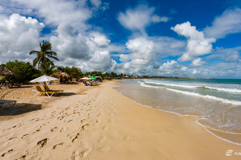 Punta Cana: Higüey Safari Tour with Horseback Riding