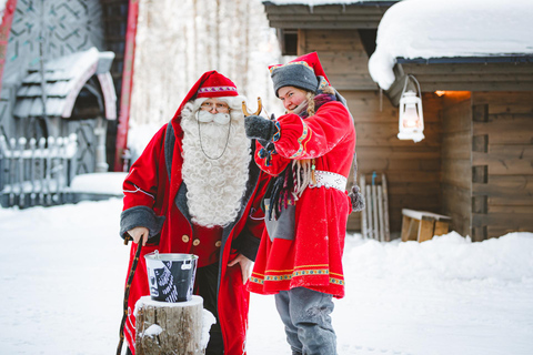 Levi：Arcandia，精灵法庭/日光和公园/黑暗精灵法庭：3 小时体验和公园之旅