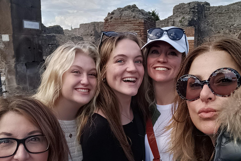 Transfer from Sorrento & Guided Pompeii to Naples area