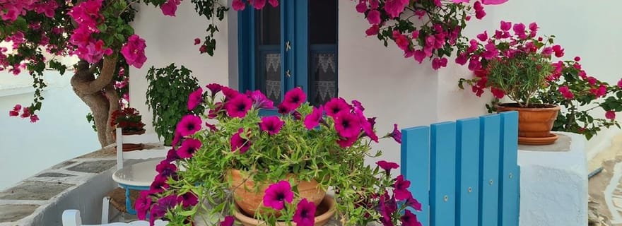 Découverte de Paros : culture, saveurs et vie insulaire