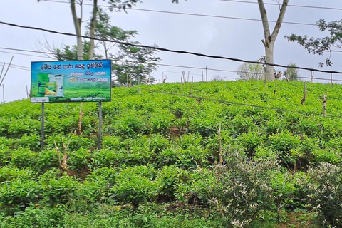 Accessible Vacation Sri Lanka - 10 Days