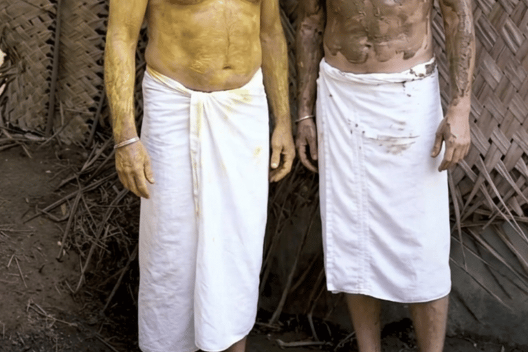 Kochi: Wayanad 2-Day Luxury Wellness Retreat & Safari