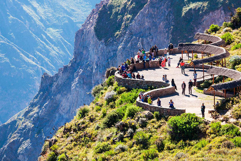 HELDAGSTUR TILL COLCA CANYON FRÅN AREQUIPA