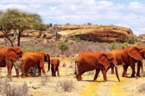 Mombasa: 4-Day Tsavo East, West, & Taita Hills Safari