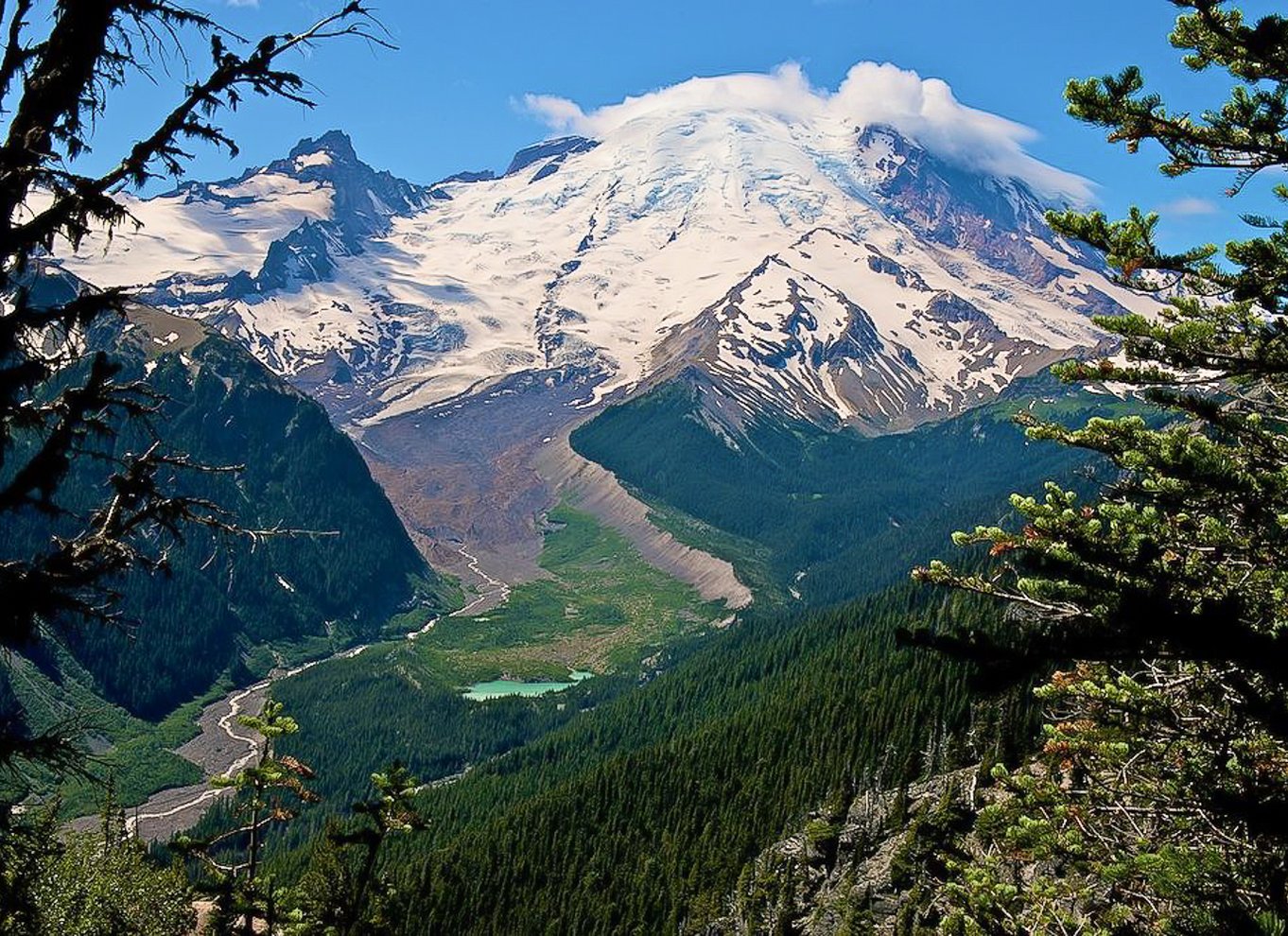 Seattle: Mount Rainier Park All-Inclusive tur med en lille gruppe