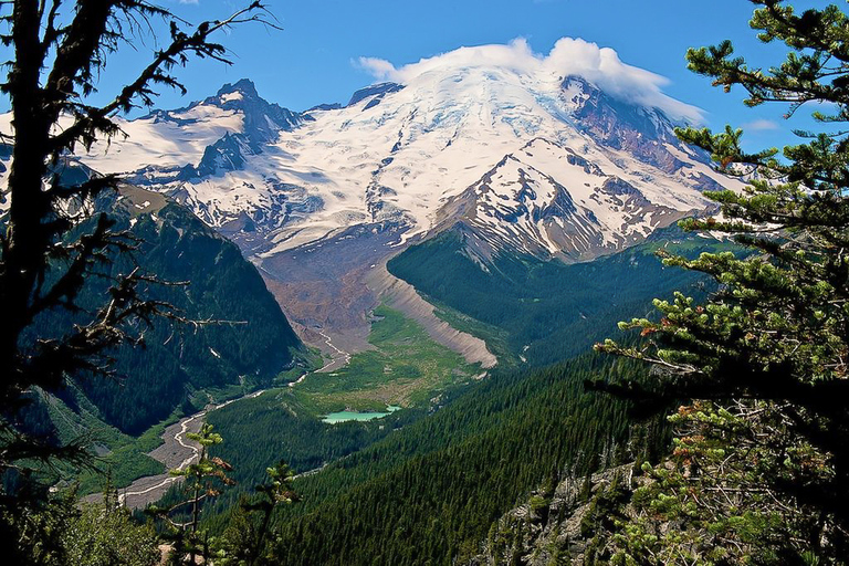 Seattle: Mount Rainier Park All-Inclusive Small Group Tour