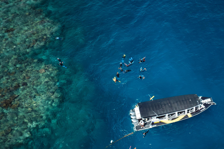 凯恩斯：大堡礁浮潜和观光飞行