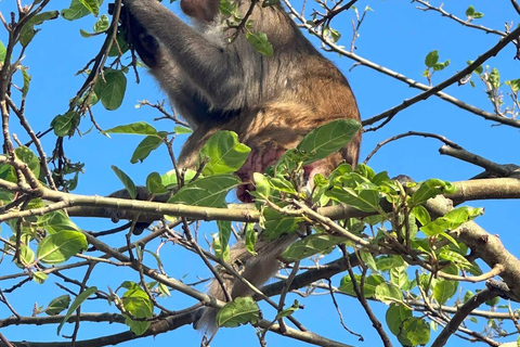 Phong Nha: Private Transfer to Hoi An with Stops Phong Nha To Hoi An By Private Car – Direct Trip, No Stops