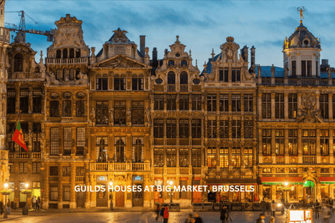 Bruxelles - &quot;Capitale Europea&quot; e tour giornaliero a piedi di Waterloo