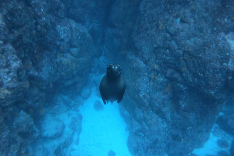 La Paz: Boat ride to Espiritu Santo island and sloop