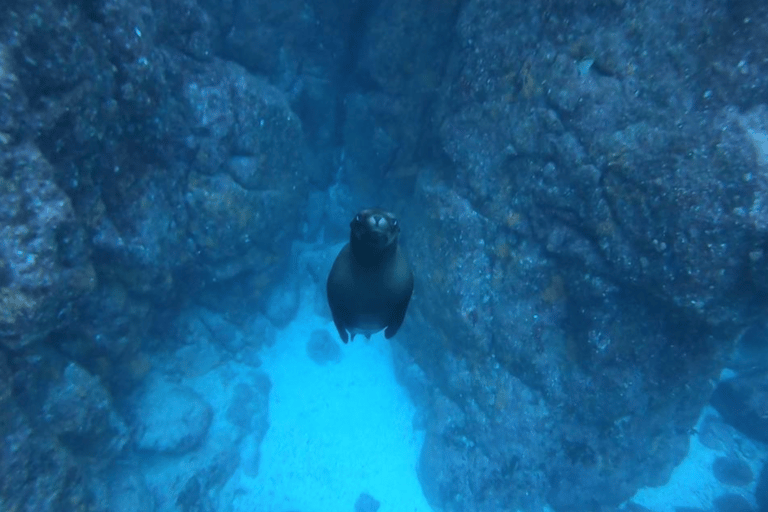 La Paz: Boat ride to Espiritu Santo island and sloop