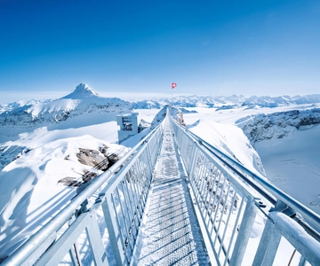 Geneva: Glacier 3000 Experience and Montreux
