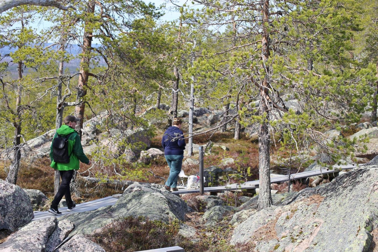 Rovaniemi: Övertorneå e a colina Aavasaksa. História e natureza
