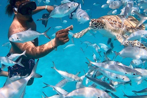 Barbados: Snorkeling, avventura sul relitto e giornata in spiaggia