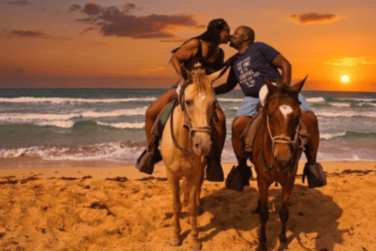 Punta Cana: Horseback Riding Free Pickup Hotel