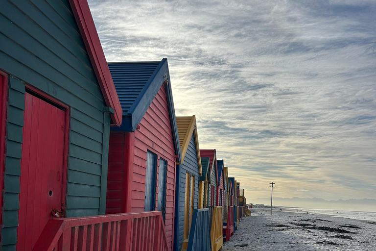 Cape Town: Private Tour with Customizable Itinerary
