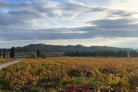 Alpilles: Visitas, provas de vinhos e restaurante bistronómico