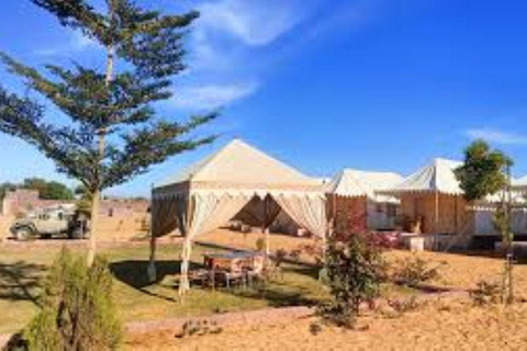 Jodhpur: Luksusowa wyprawa na pustynię z jazdą na wielbłądzie i ucztąJodhpur: luksusowa wyprawa na pustynię z jazda na wielbłądzie i ucztą