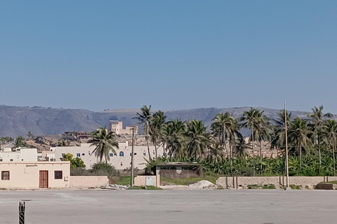 Dhofar: Salalah City and East Salalah Private Tour