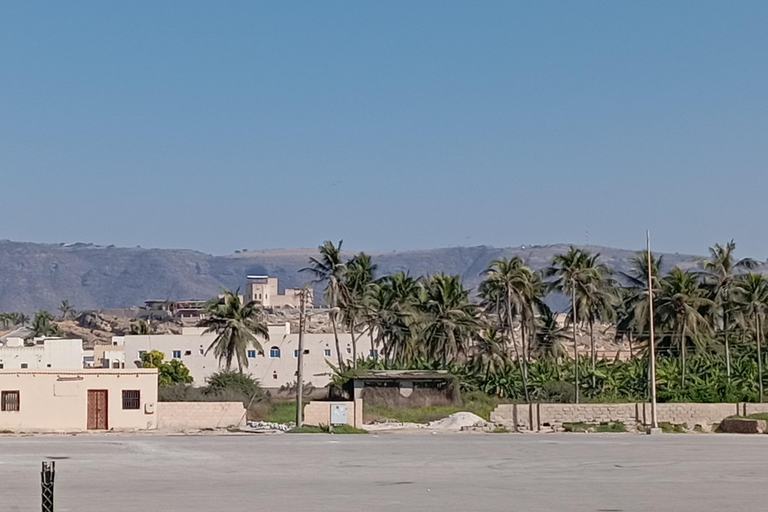 Dhofar: Salalah City and East Salalah Private Tour