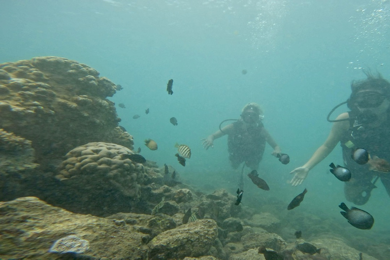 Honolulu: Excursión de buceo para principiantes con vídeos gratuitos