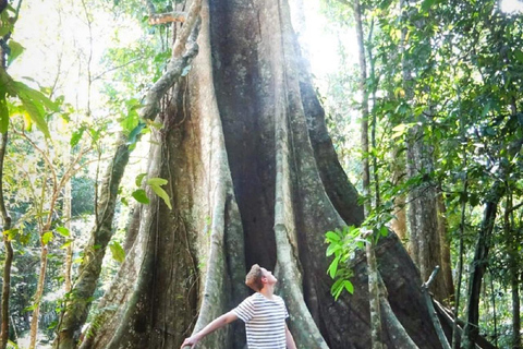 Tambopata: 2-Day Wildlife Tour With Jungle Lodge Stay