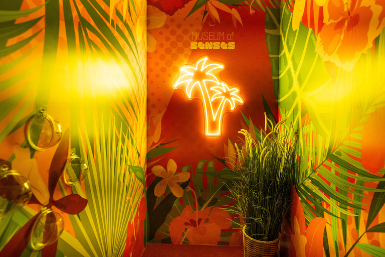 Museum of Senses Milan admission ticket Museum of Senses Milan admission ticket - Fixed date