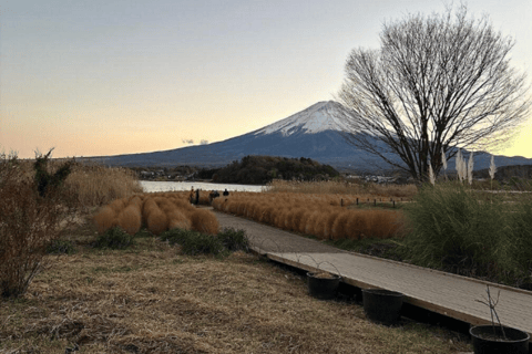 Mt-Fuji Sunrise Escape from Tokyo Early Access Private Tour