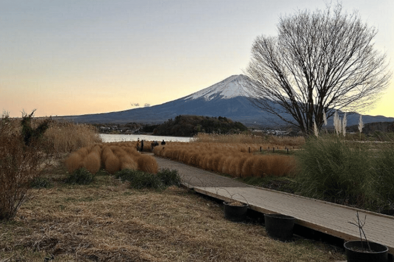 Mt-Fuji Sunrise Escape from Tokyo Early Access Private Tour