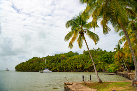 Martinique: Horseback Ride to Grand Macabou, Chapel, & Beach