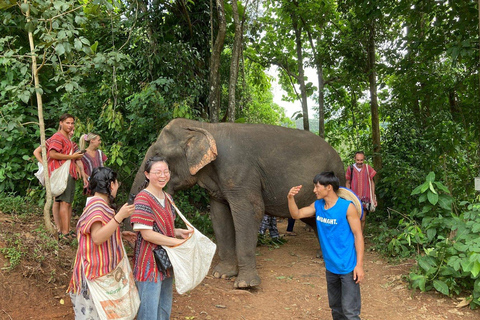 مغامرة لمدة 2-3 أيام في شيانغ ماي: قبائل التلال والفيلة والنهر2 أيام 1 ليلة واحدة: الحياة المحلية ورعا