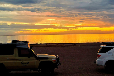 Namib Golden Dune Sunset Safari