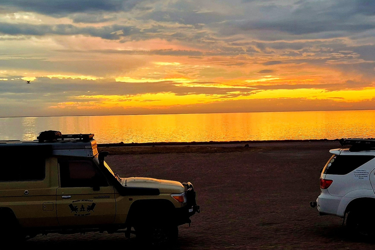 Namib Golden Dune Sunset Safari