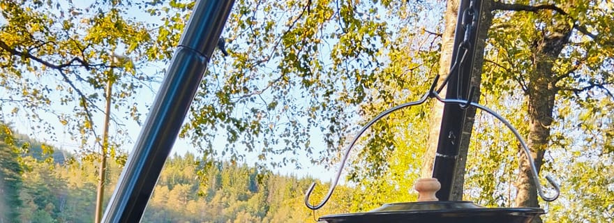 Visite culinaire dans les montagnes d'Oslo : promenade en forêt et dégustation autour d'un feu de camp