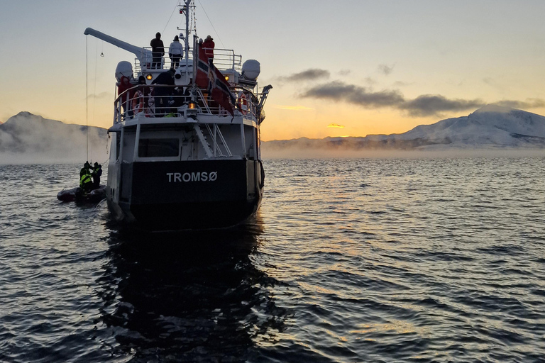 Tromsø: Arctic king crab cruise with self-captured lunch